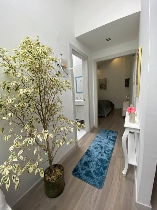 Modern Cozy Apartment Cuenca